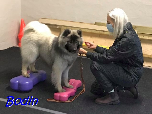 9.11.2020 - Connor und Susanne beim Training 1